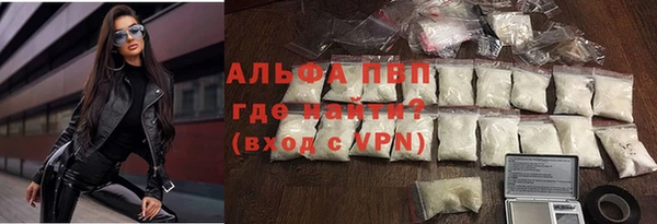 стафф Сосновый Бор