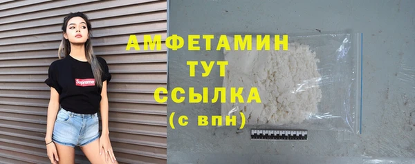 шишки Арсеньев