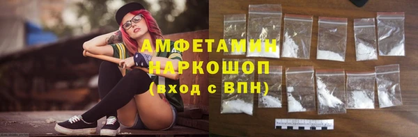 шишки Арсеньев