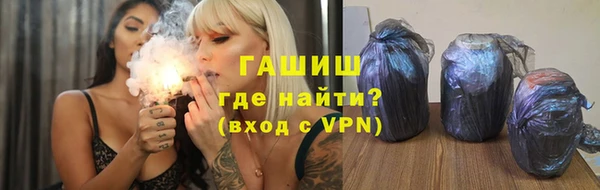 шишки Арсеньев