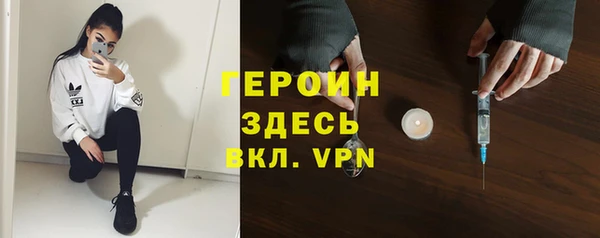 шишки Арсеньев