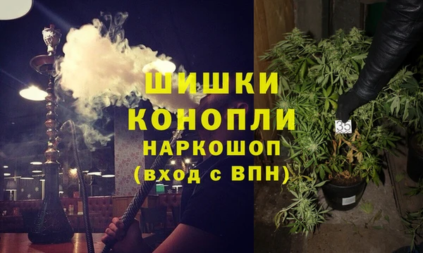 шишки Арсеньев