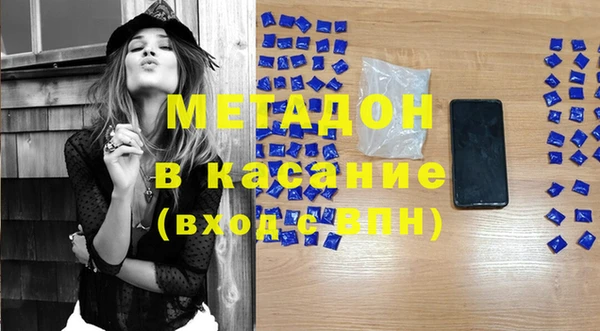 шишки Арсеньев