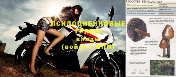 круглые Алексеевка
