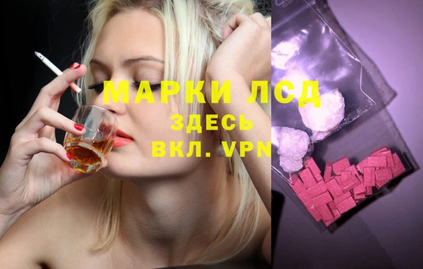 шишки Арсеньев