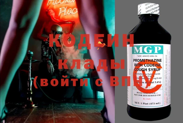 шишки Арсеньев